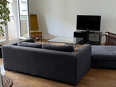 APPARTEMENT T3 A LOUER - LYON 3EME ARRONDISSEMENT - 74 m2 - 1265€ charges comprises par mois