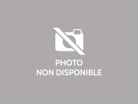APPARTEMENT T3 A LOUER - LYON 3EME ARRONDISSEMENT - 62 m2 - 905€ charges comprises par mois